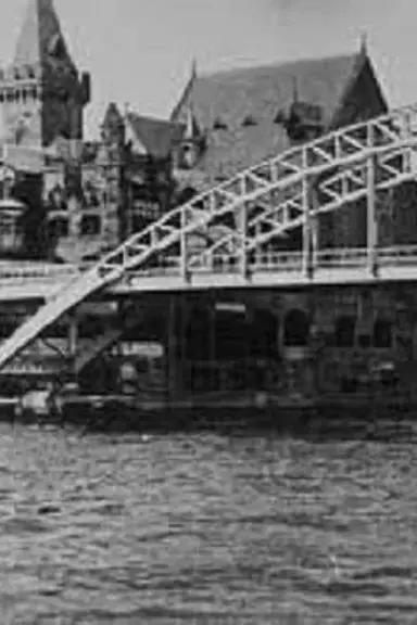 Le vieux Paris: Vue prise en bateau poster