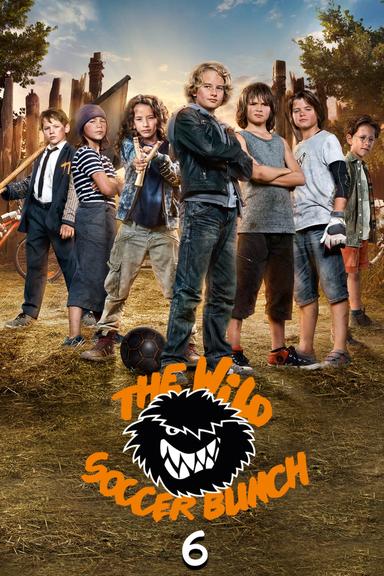 The Wild Soccer Bunch 6 poster