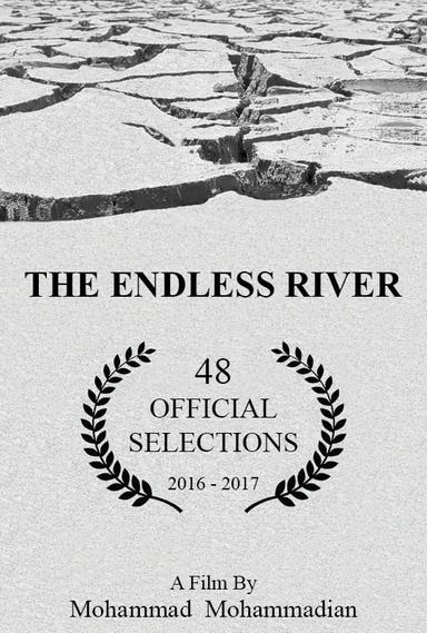 The Endless River poster