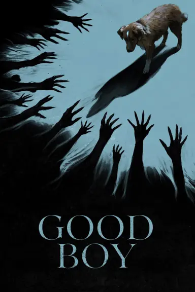 Good Boy poster