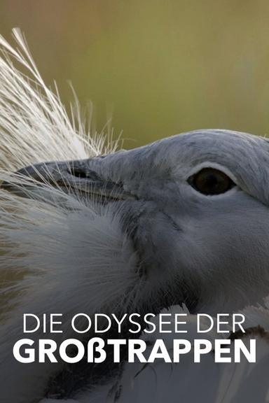 Die Odyssee der Großtrappen - Das Comeback der Riesenvögel poster