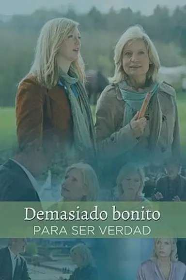 Zu schön um wahr zu sein poster