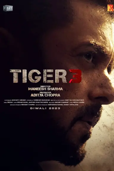 Tiger 3 poster