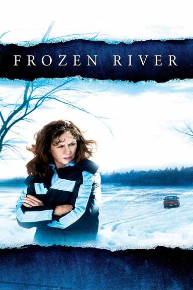 Frozen River poster