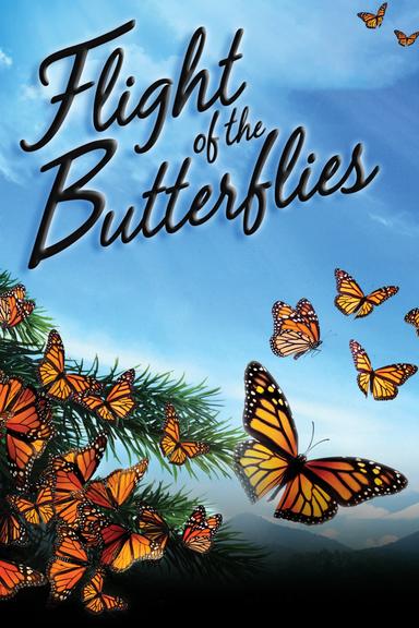 Flight of the Butterflies poster