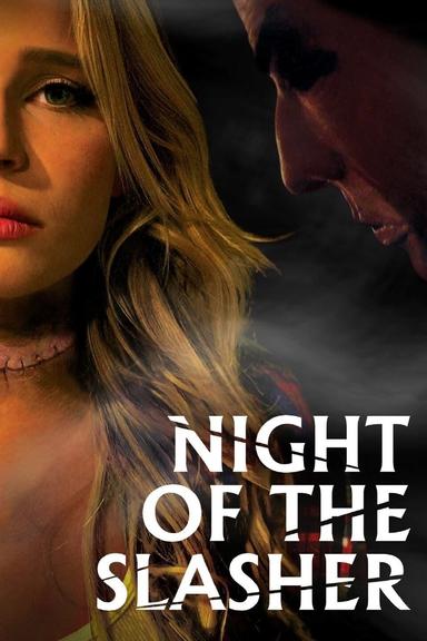 Night of the Slasher poster