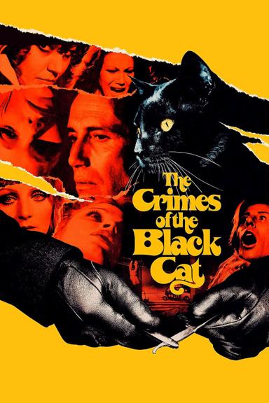 The Crimes of the Black Cat poster