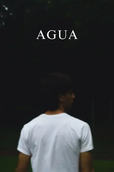 Agua poster