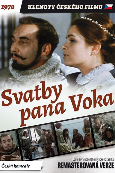 Svatby pana Voka poster