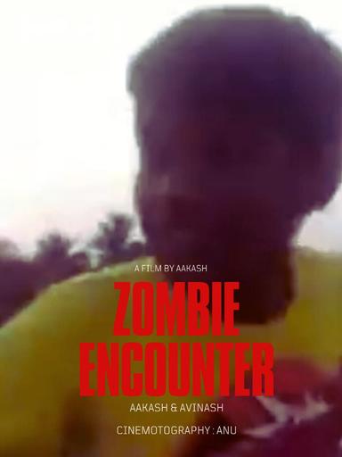 Zombie Encounter poster