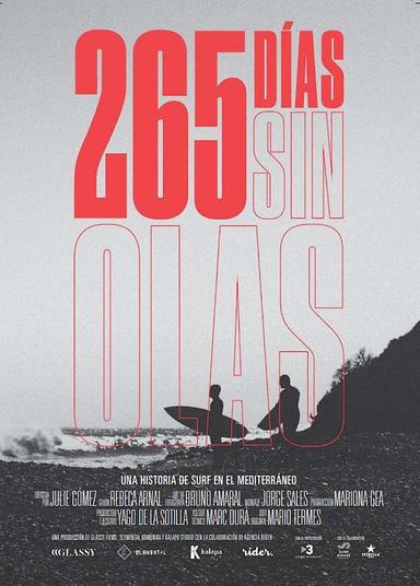 265 Days Without Waves poster