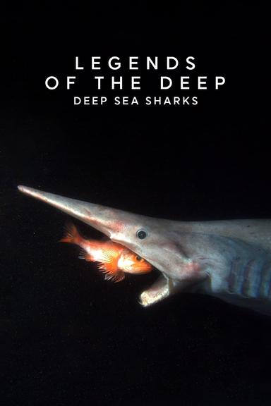 Legends of the Deep: Deep Sea Sharks poster