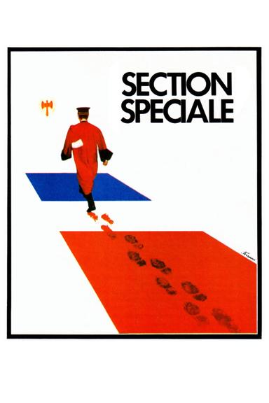 Special Section poster