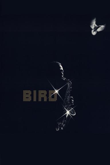 Bird poster