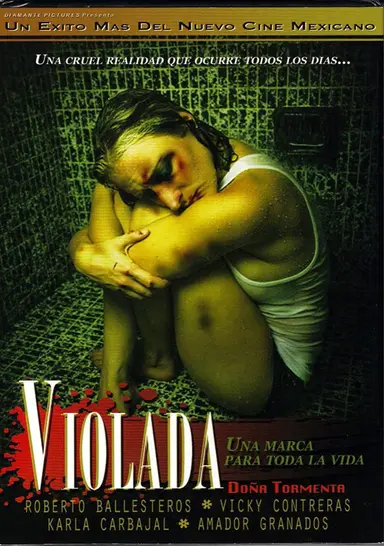 Doña Tormenta poster