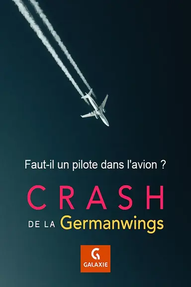 Faut-il un pilote dans l'avion ? poster