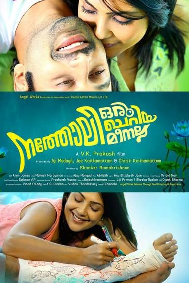 Natholi Oru Cheriya Meenalla poster