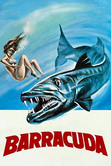 Barracuda poster