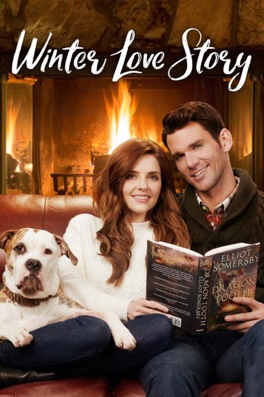 Winter Love Story poster