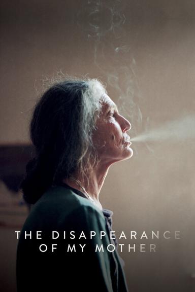 The Disappearance of My Mother poster