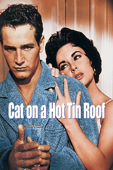 Cat on a Hot Tin Roof poster