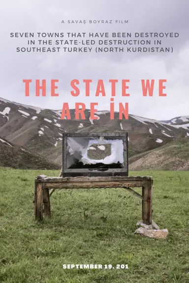 The State We Are İn poster