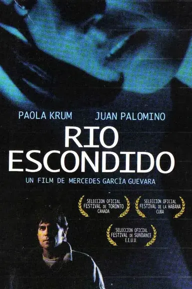 Hidden River poster
