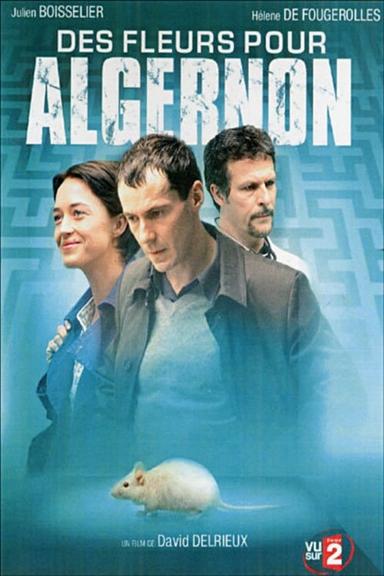 Des fleurs pour Algernon poster