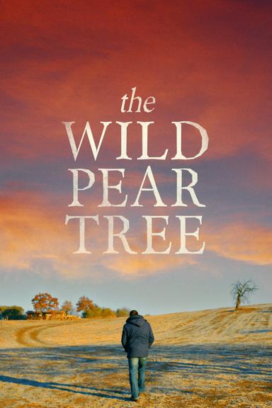 The Wild Pear Tree poster