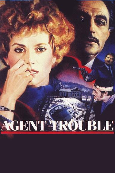 Agent Trouble poster