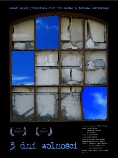 3 dni wolności poster