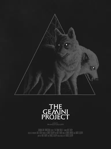 The Gemini Project poster