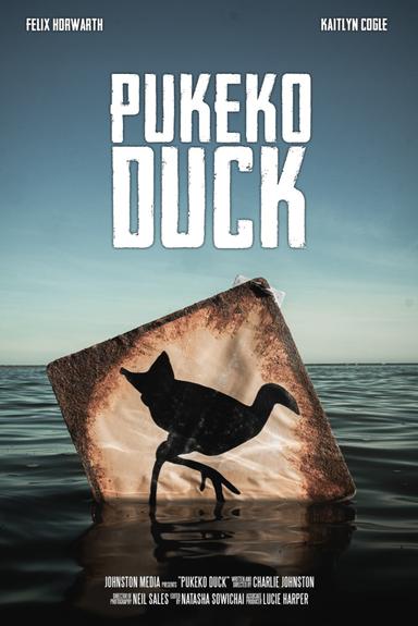 Pukeko Duck poster