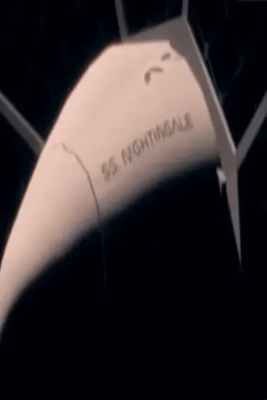 Nightingale poster