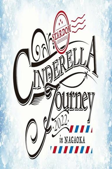 Stardom Cinderella Journey In Nagaoka 2022 poster