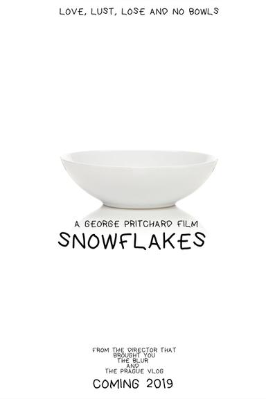 SnowFlakes poster