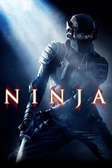 Ninja poster