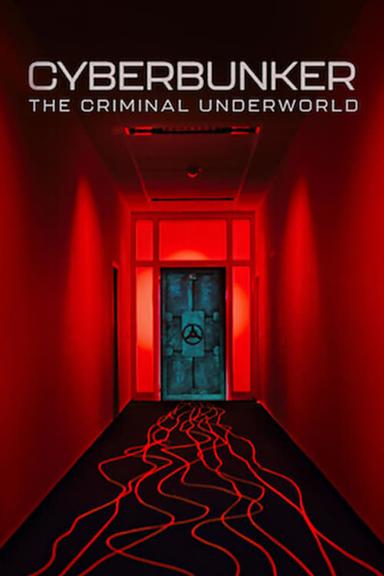 Cyberbunker: The Criminal Underworld poster