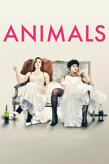 Animals poster