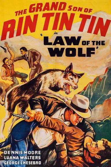 Law of the Wolf poster