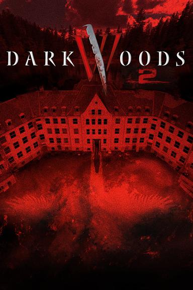 Dark Woods II poster