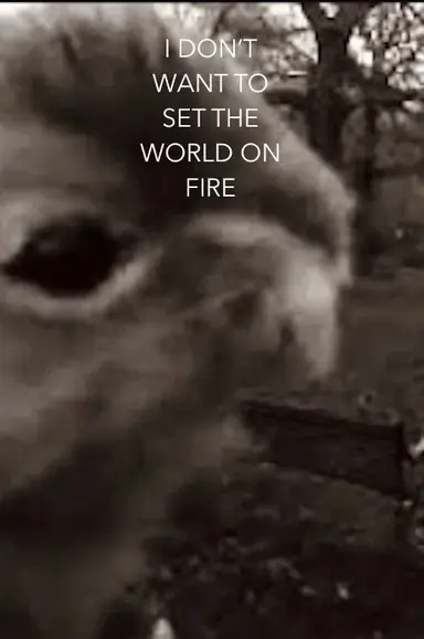 I Don't Want To Set The World On Fire poster