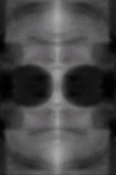 SW-EGO (v.4) poster
