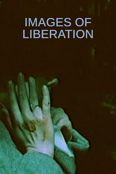 Images of Liberation poster