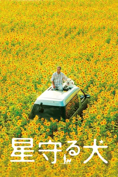 Star Watching Dog poster