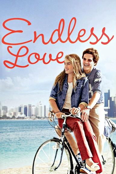 Endless Love poster