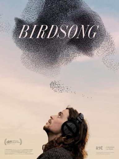 Birdsong poster