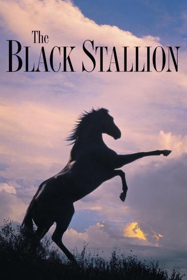 The Black Stallion poster