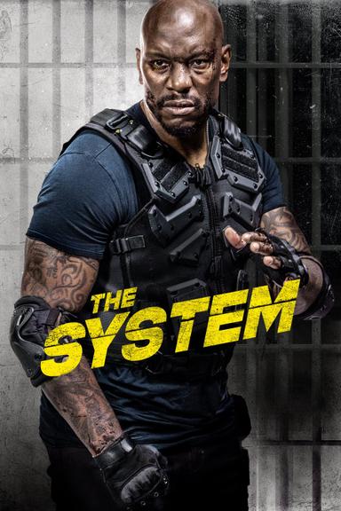 The System poster