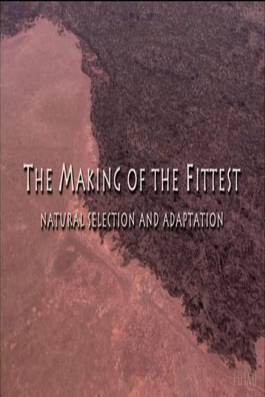 The Making of the Fittest: Natural Selection and Adaptation poster